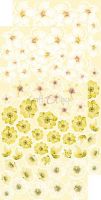 Дизайнерски елементи за изрязване "Basic Flowers Set 6-Yellow", Craft o'Clock