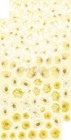 Дизайнерски елементи за изрязване "Basic Flowers Set 6-Yellow", Craft o'Clock