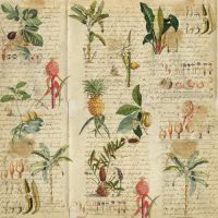 Дизайнерски хартии "Botany exotic", 30см, Fabrika Decoru