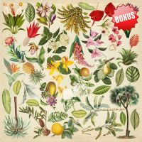 Дизайнерски хартии "Botany exotic", 30см, Fabrika Decoru