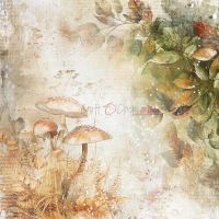 Дизайнерски хартии "Autumnaria", 20см, Craft o'Clock
